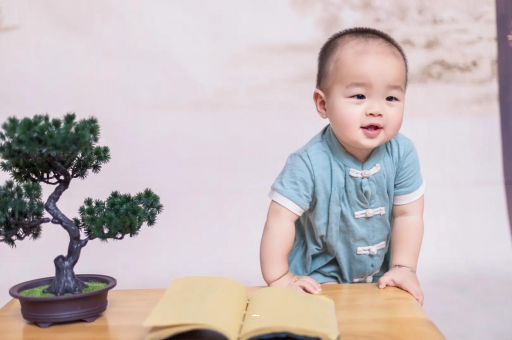 辽源可爱的企鹅宝宝